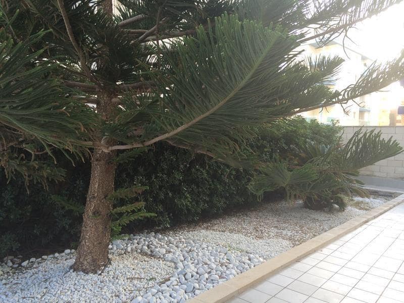 3 makuuhuone Huoneisto myytävänä paikassa Gandia mukana uima-altaan 
autotalli - 553 486 € (Ref: 8331647)