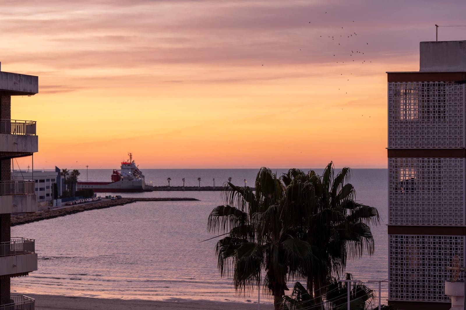 20 soveværelse Hotel til salg i Santa Pola med swimmingpool - € 2.830.000 (Ref: 8367270)