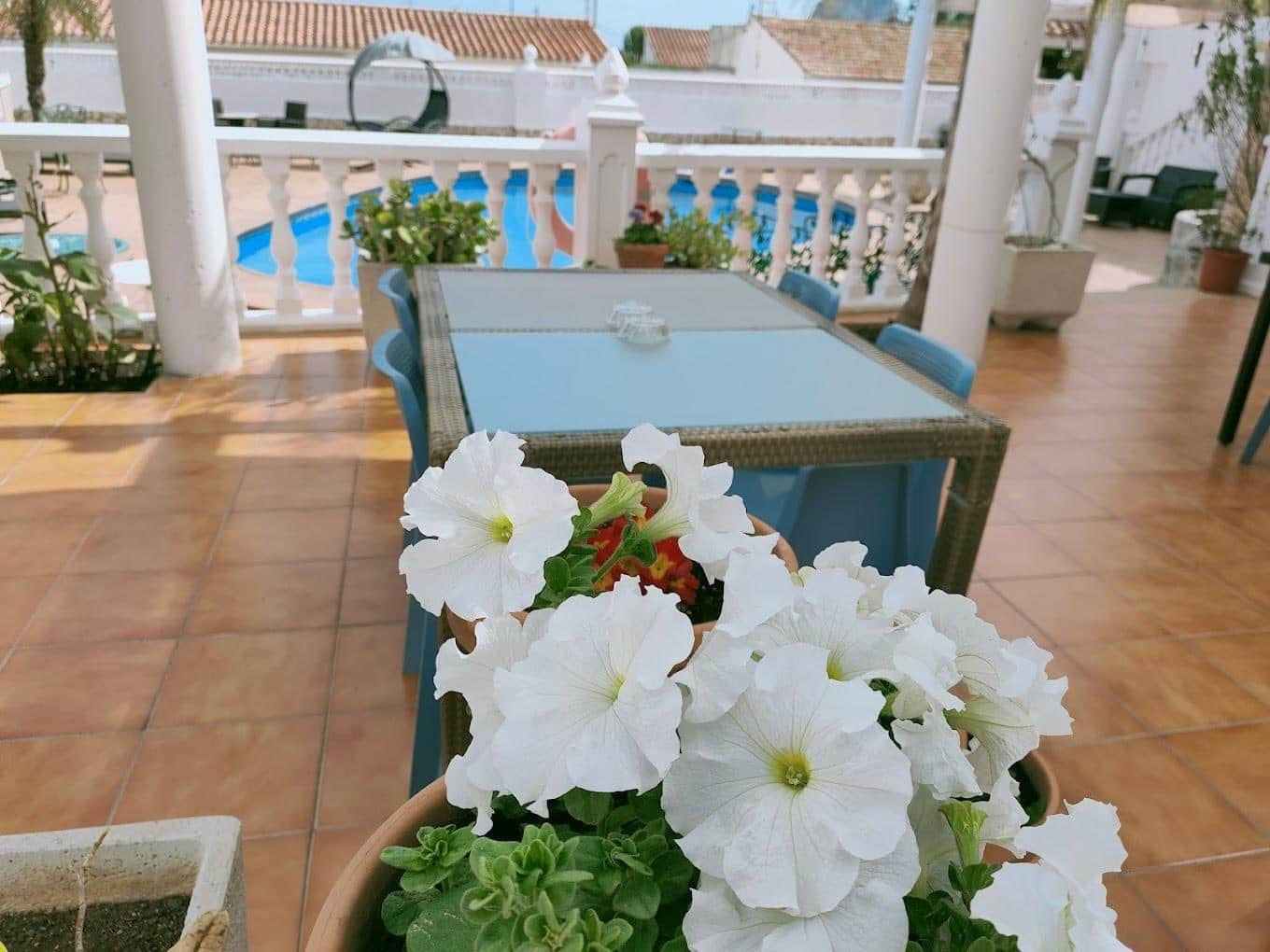 10 soveværelse Hotel til salg i Calpe / Calp med swimmingpool - € 850.000 (Ref: 8386652)