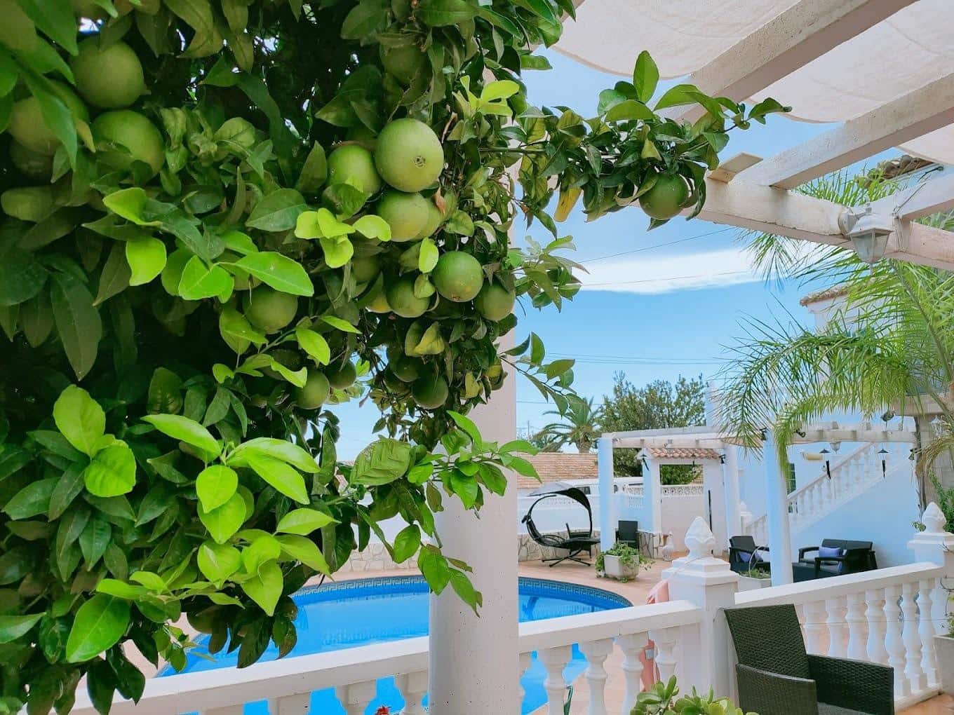 10 soveværelse Hotel til salg i Calpe / Calp med swimmingpool - € 850.000 (Ref: 8386652)