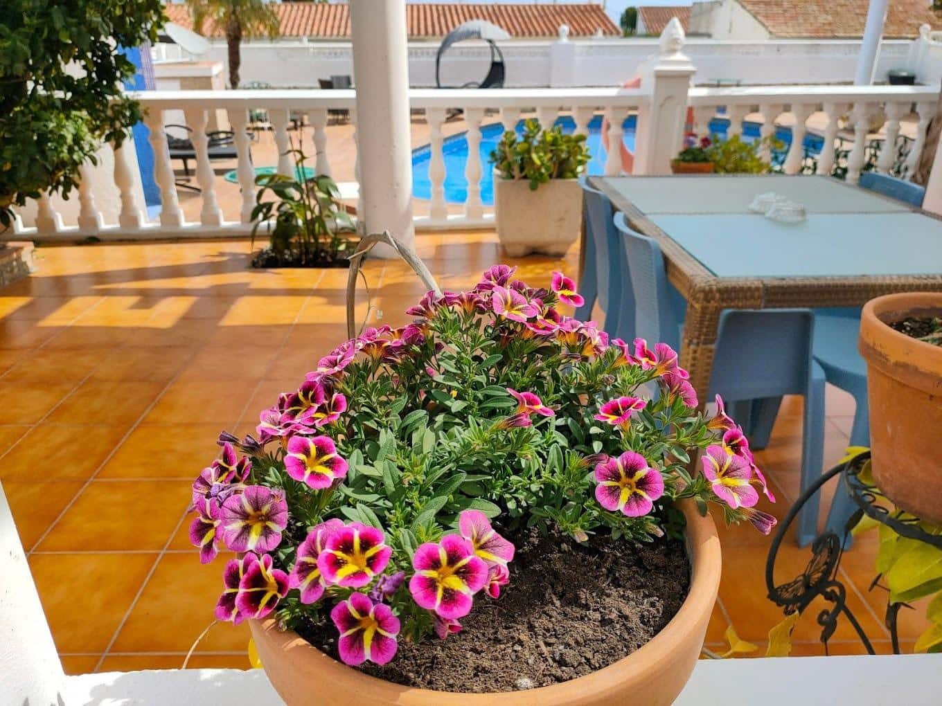 10 soveværelse Hotel til salg i Calpe / Calp med swimmingpool - € 850.000 (Ref: 8386652)