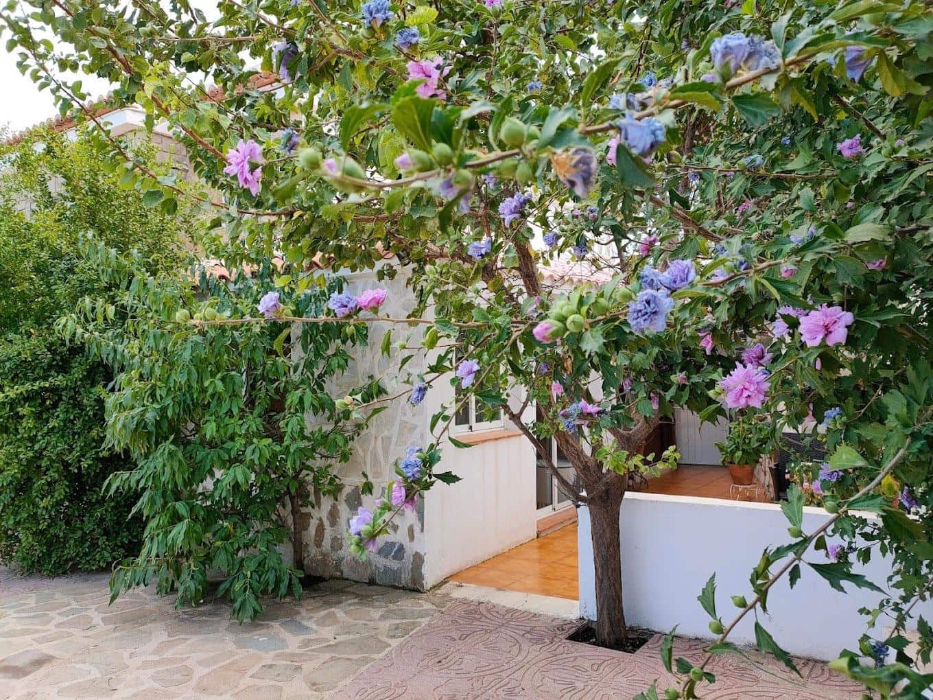 10 soveværelse Hotel til salg i Calpe / Calp med swimmingpool - € 850.000 (Ref: 8386652)