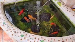 18 soveværelse Hotel til salg i Calpe / Calp med swimmingpool garage - € 1.050.000 (Ref: 8386653)