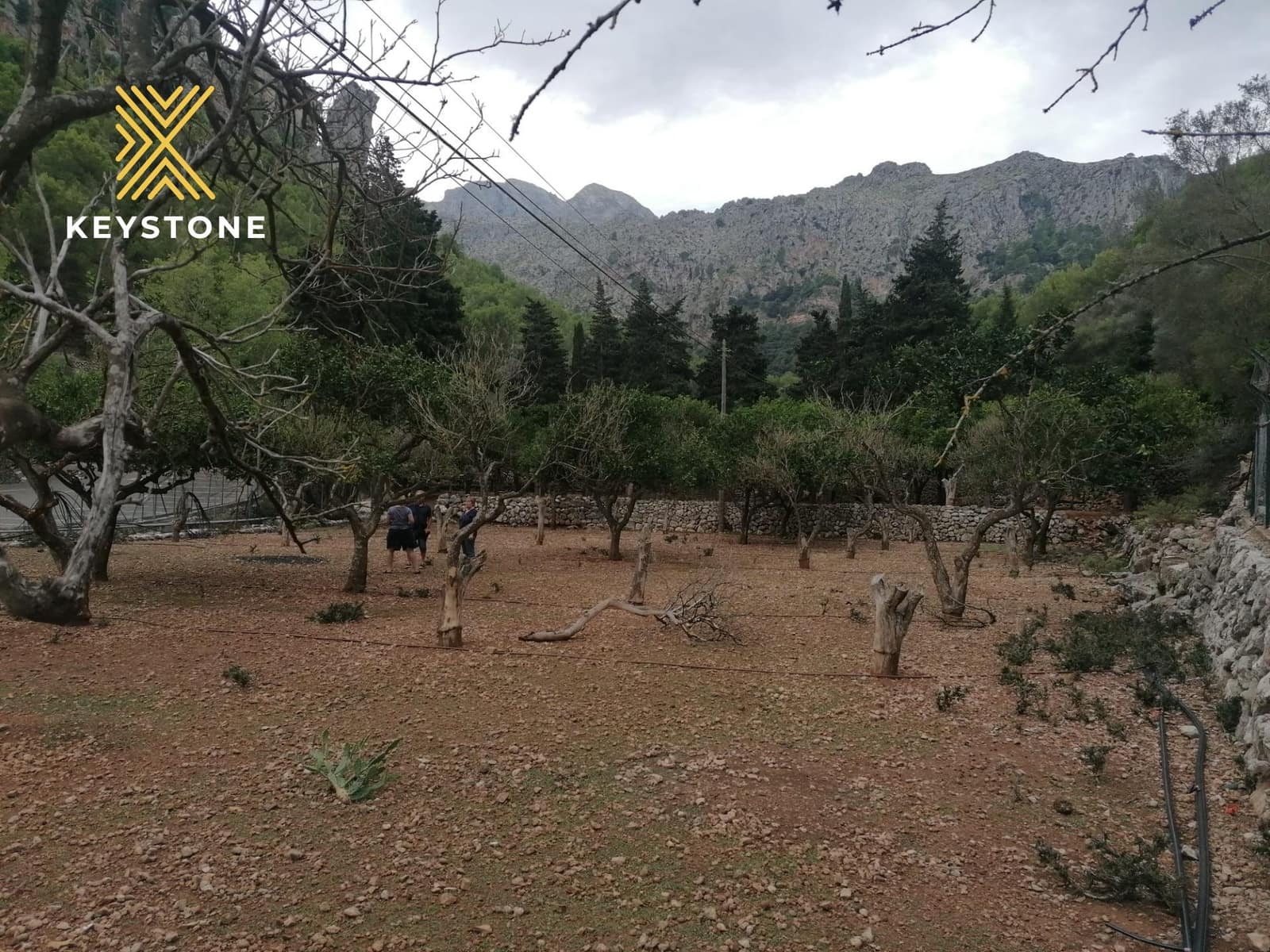 Erhverv til salg i Sa Calobra / La Calobra - € 3.500.000 (Ref: 8413318)