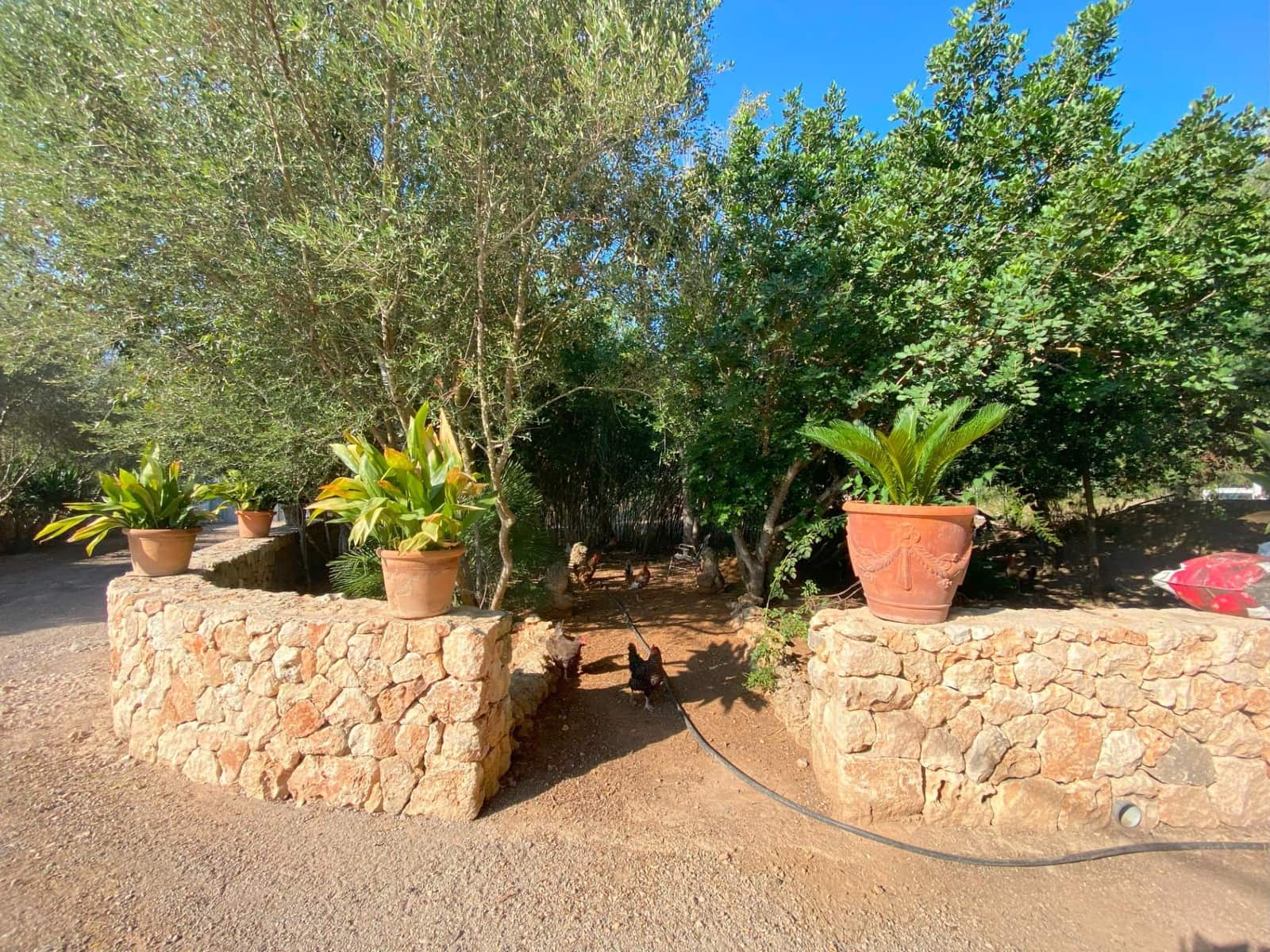 7 chambre Villa/Maison à vendre à Costitx avec piscine - 600 000 € (Ref: 8547199)