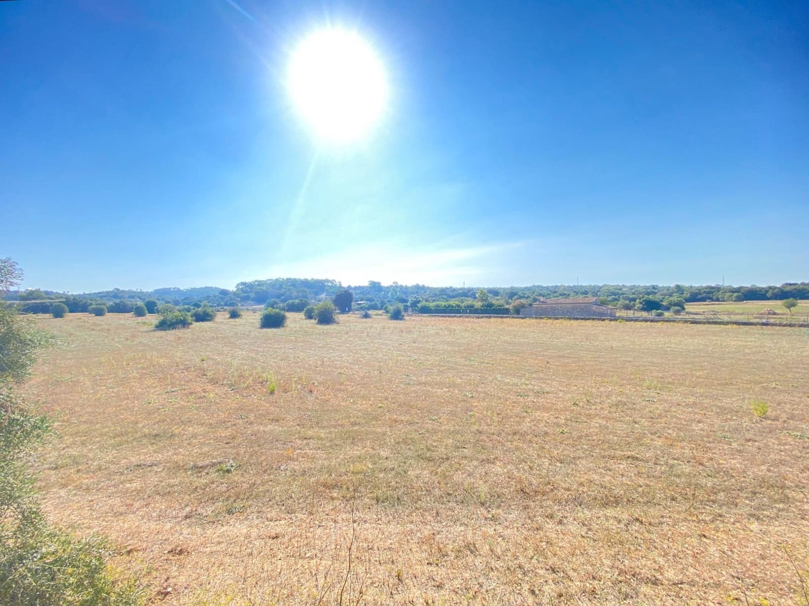 7 chambre Villa/Maison à vendre à Costitx avec piscine - 600 000 € (Ref: 8547199)