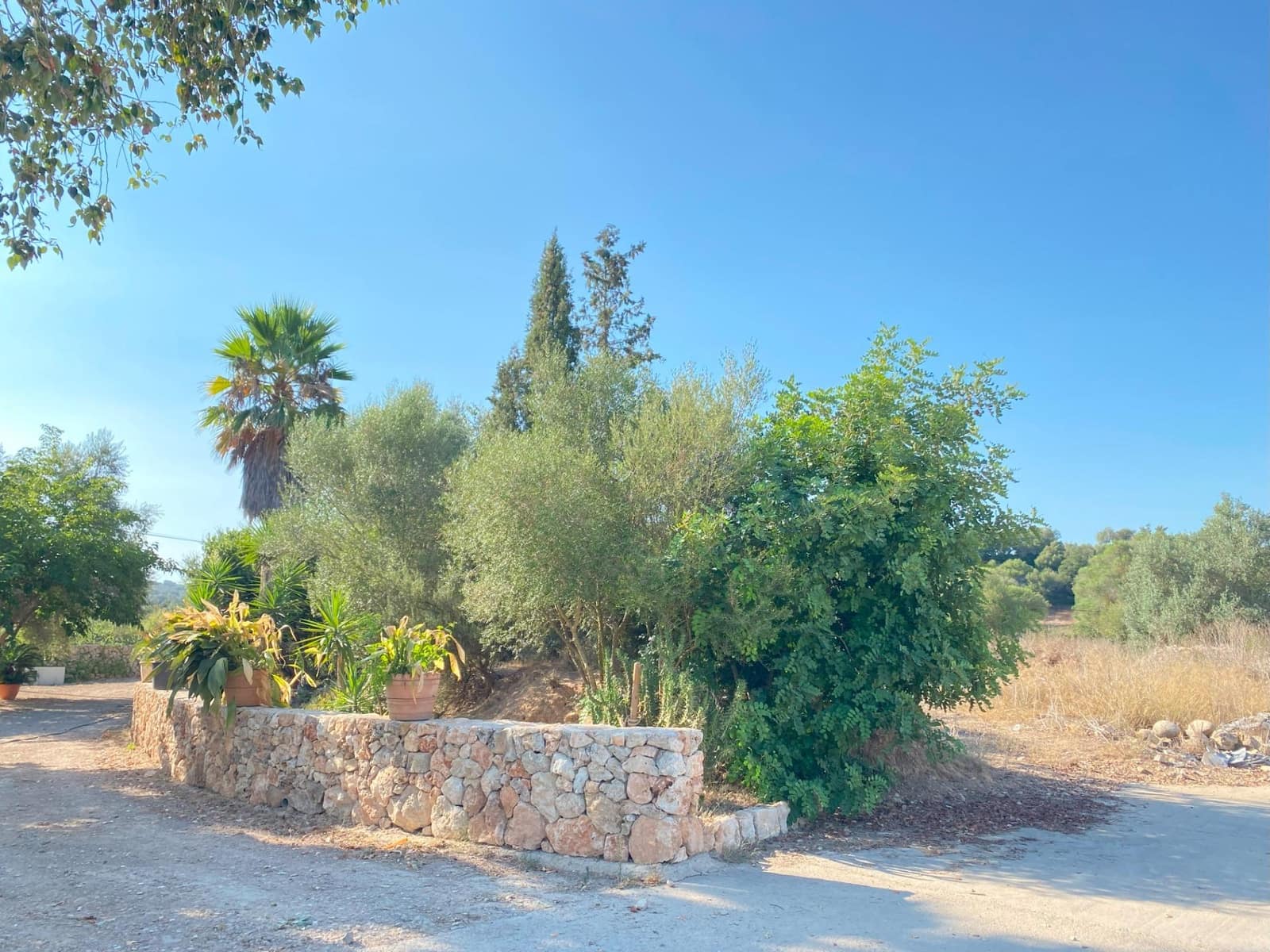 7 chambre Villa/Maison à vendre à Costitx avec piscine - 600 000 € (Ref: 8547199)