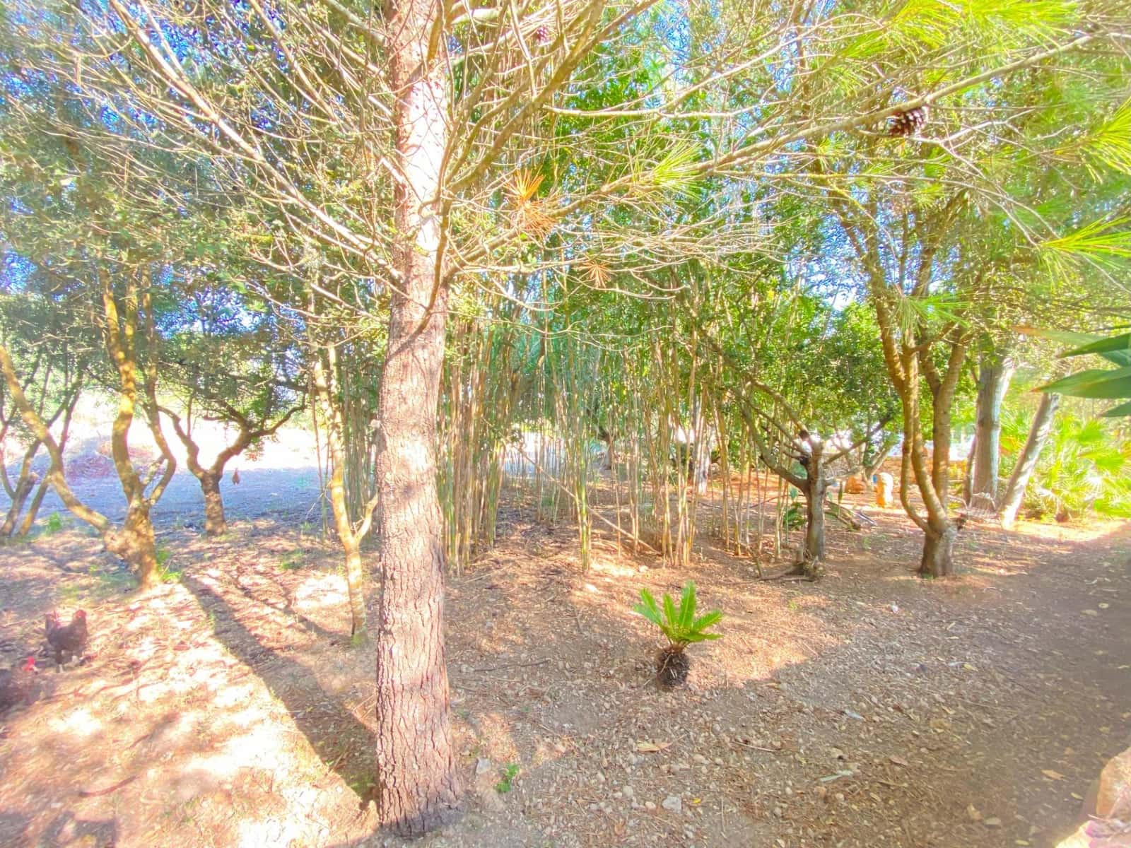 7 chambre Villa/Maison à vendre à Costitx avec piscine - 600 000 € (Ref: 8547199)