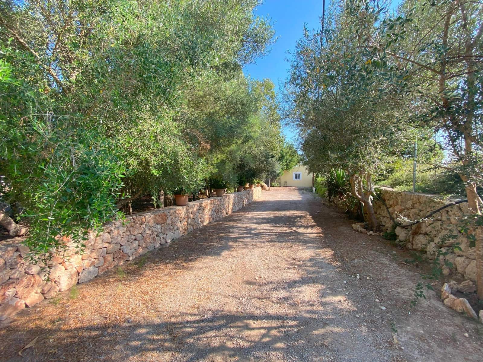 7 chambre Villa/Maison à vendre à Costitx avec piscine - 600 000 € (Ref: 8547199)