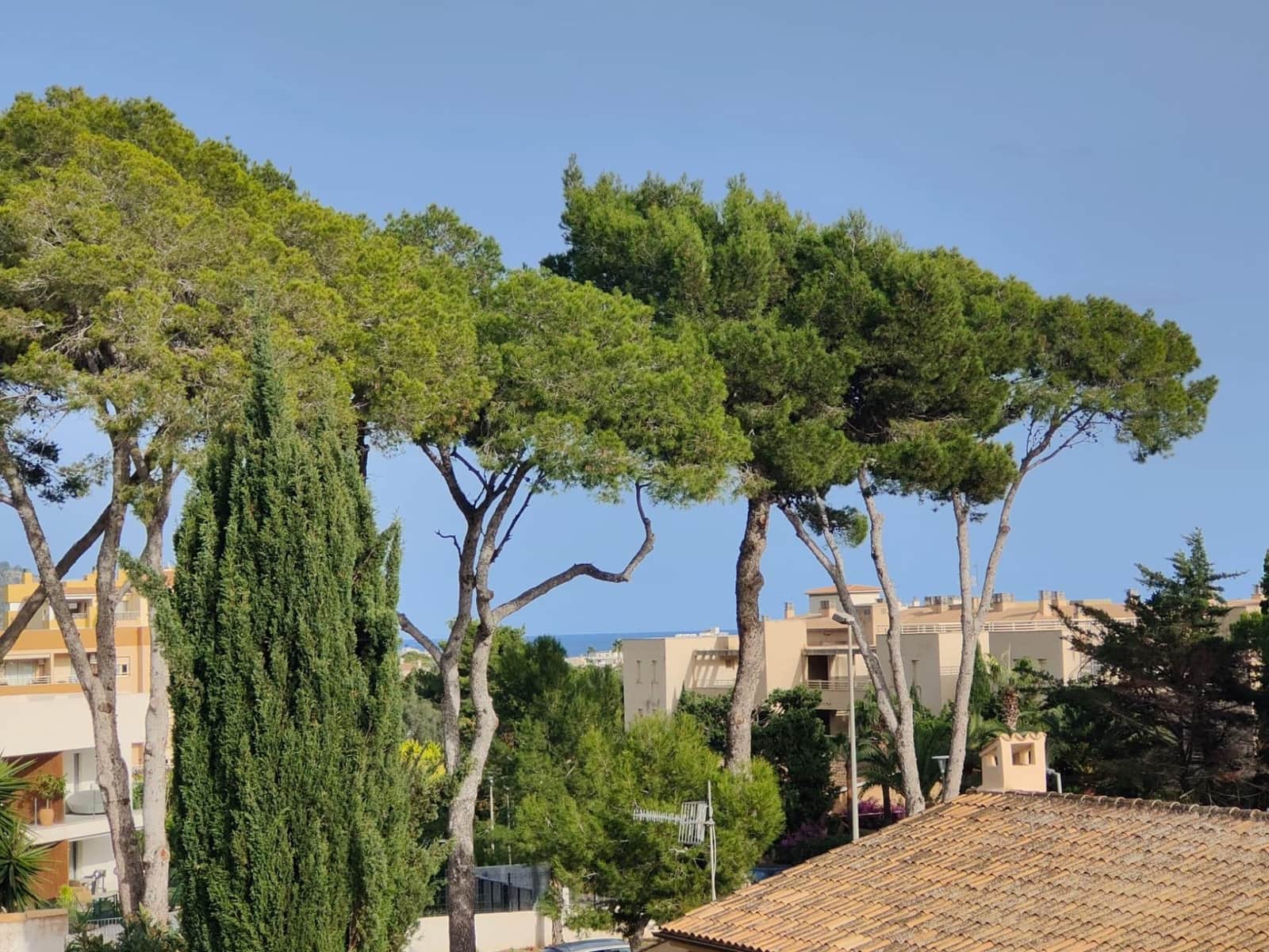 5 slaapkamer Hotel te koop in Cala Millor met zwembad garage - € 950.000 (Ref: 8646001)