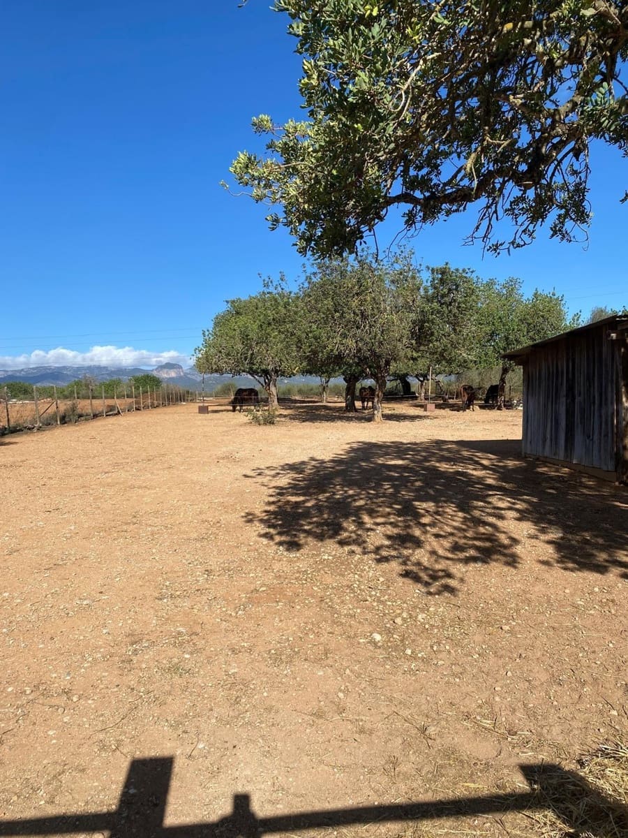 6 quarto Quinta/Casa Rural para venda em Sencelles com piscina garagem - 2 450 000 € (Ref: 8646554)