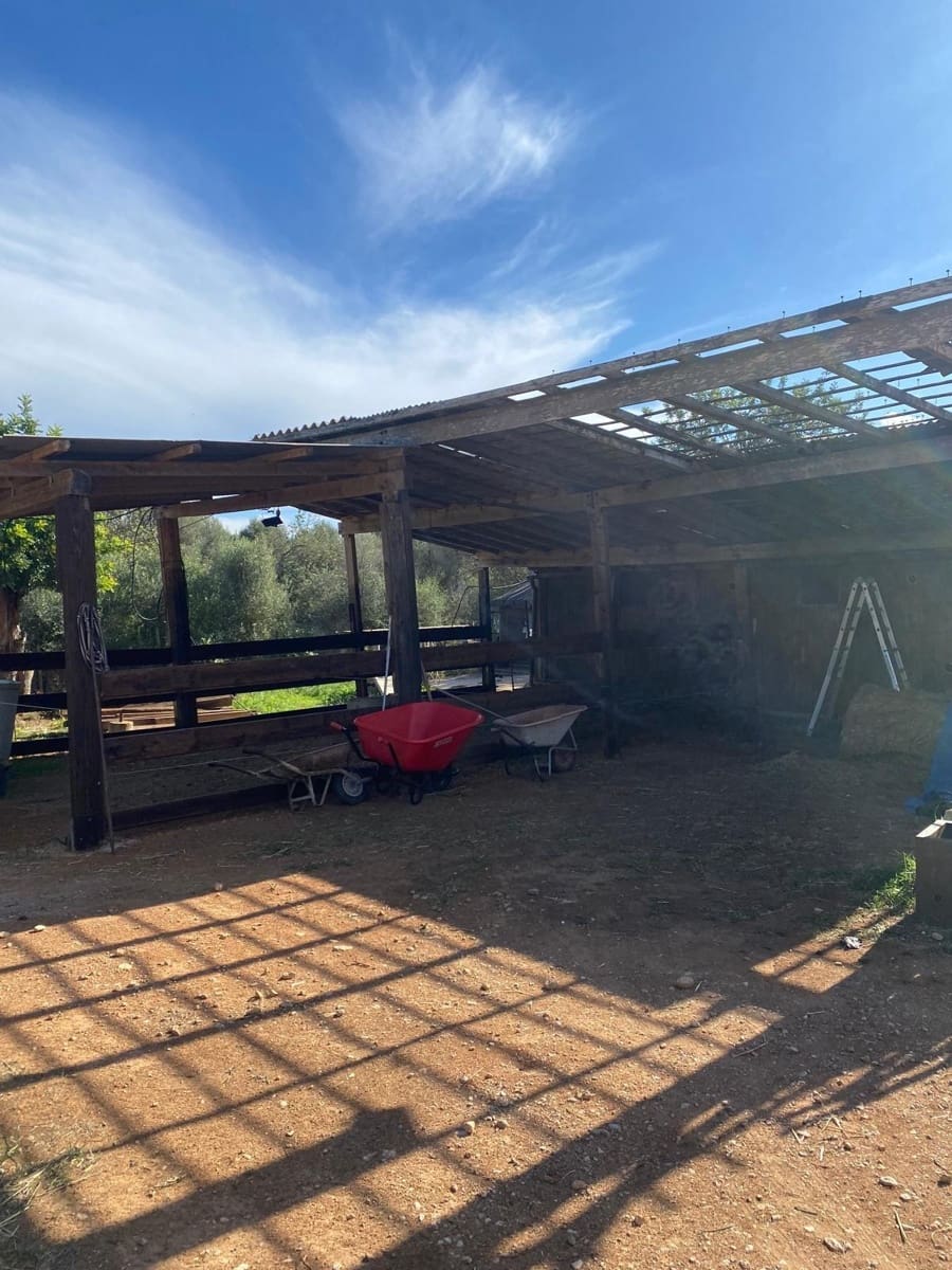 6 quarto Quinta/Casa Rural para venda em Sencelles com piscina garagem - 2 450 000 € (Ref: 8646554)