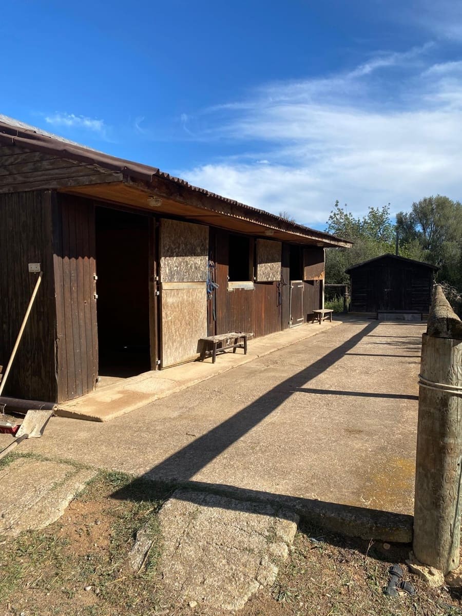 6 quarto Quinta/Casa Rural para venda em Sencelles com piscina garagem - 2 450 000 € (Ref: 8646554)