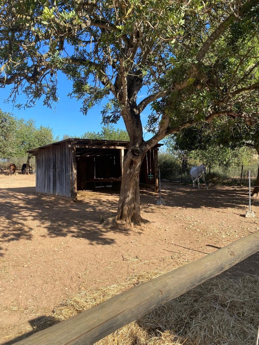 6 quarto Quinta/Casa Rural para venda em Sencelles com piscina garagem - 2 450 000 € (Ref: 8646554)