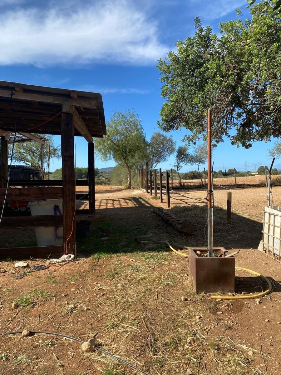 6 quarto Quinta/Casa Rural para venda em Sencelles com piscina garagem - 2 450 000 € (Ref: 8646554)