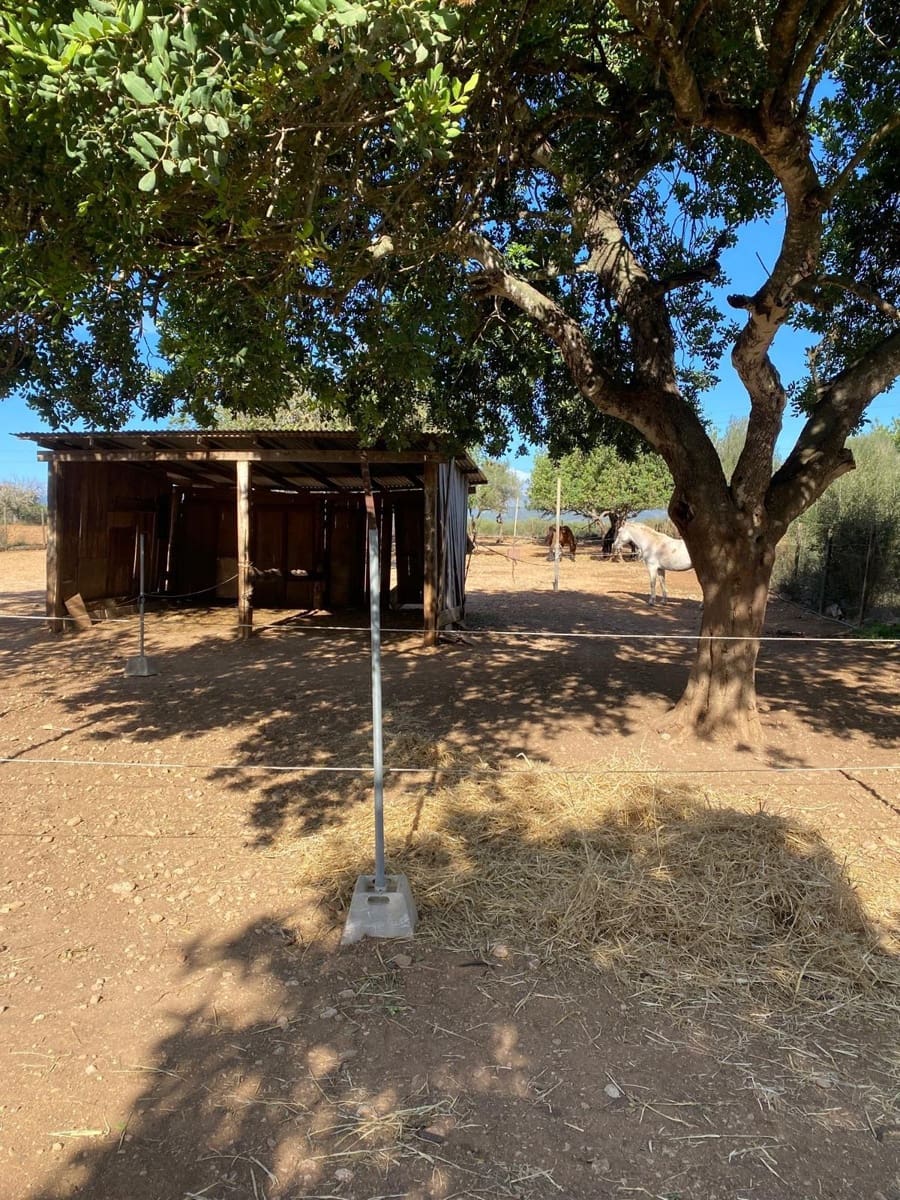 6 quarto Quinta/Casa Rural para venda em Sencelles com piscina garagem - 2 450 000 € (Ref: 8646554)