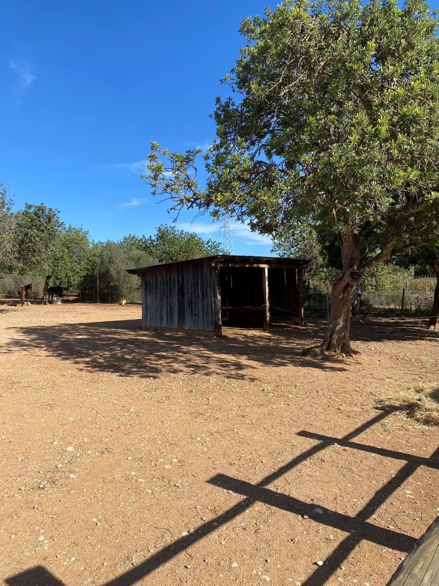 6 quarto Quinta/Casa Rural para venda em Sencelles com piscina garagem - 2 450 000 € (Ref: 8646554)