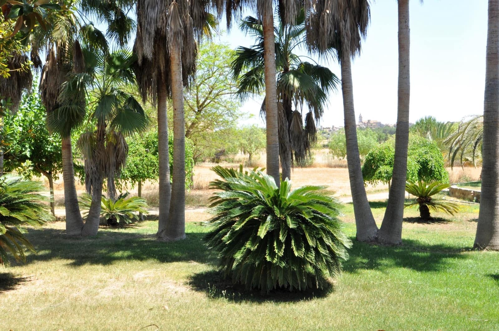 6 quarto Quinta/Casa Rural para venda em Sencelles com piscina garagem - 2 450 000 € (Ref: 8646554)