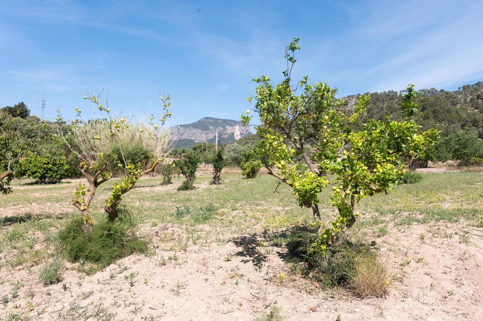 3 soveværelse Finca/Landehus til salg i Lloseta - € 750.000 (Ref: 8880148)