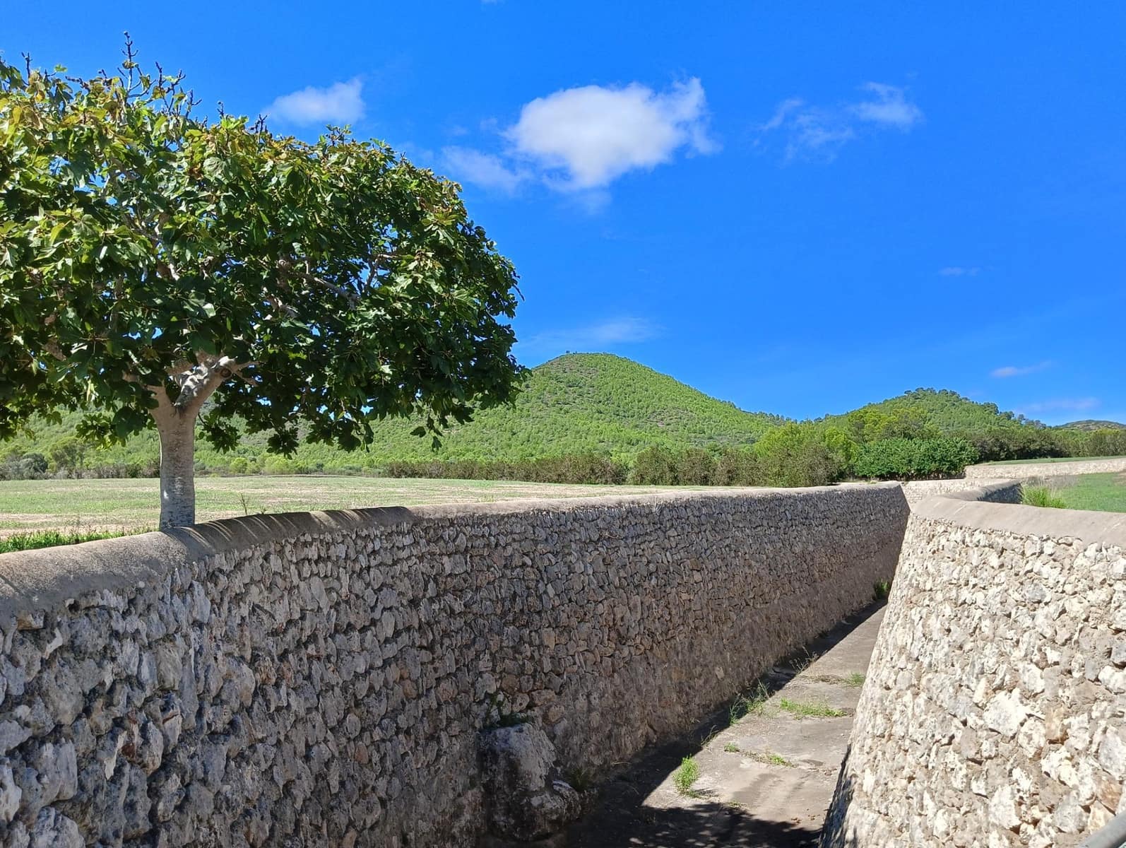 4 soveværelse Villa til salg i Manacor med swimmingpool garage - € 2.500.000 (Ref: 8941247)