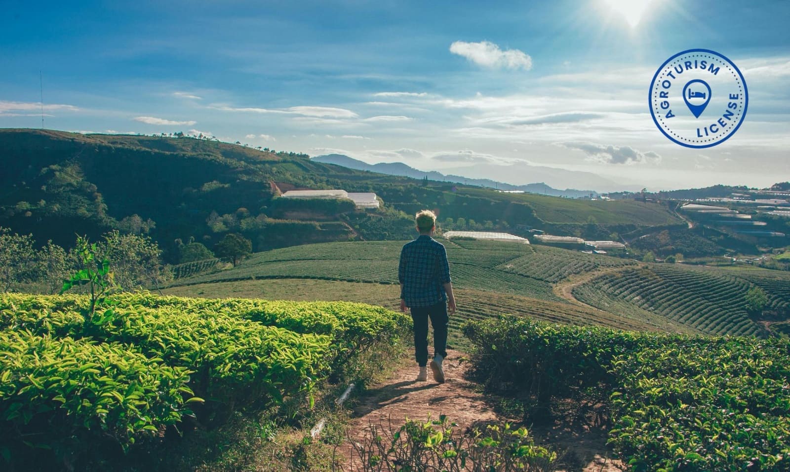 9 soverom Hotell til salgs i Sant Rafael de Sa Creu med svømmebasseng - € 13 000 000 (Ref: 9232856)