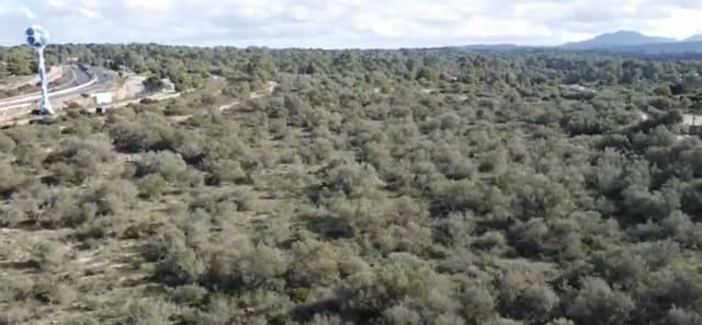 Finca/Landehus til salg i Son Gual, Palma de Mallorca - € 800.000 (Ref: 9441361)