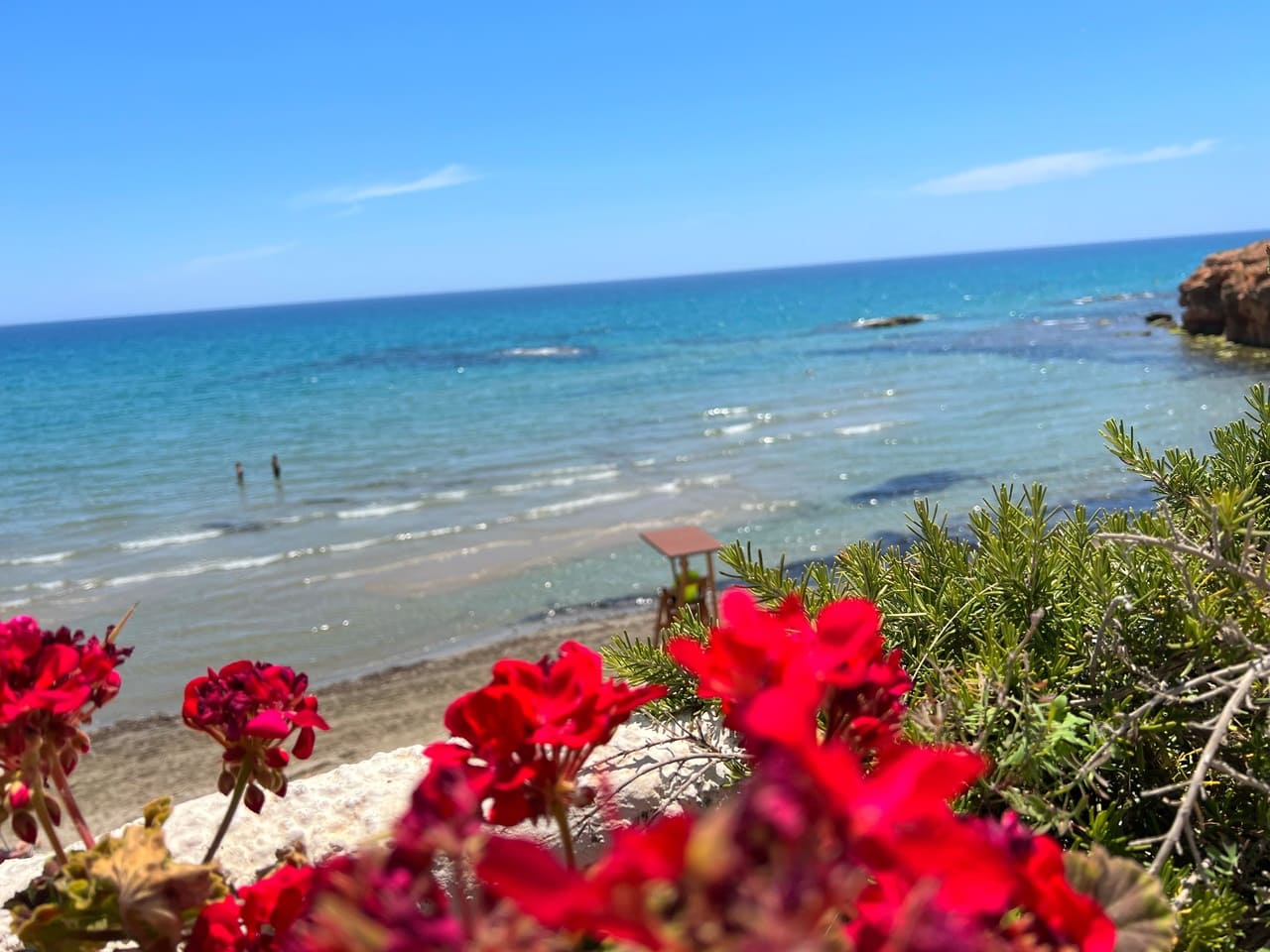 4 soveværelse Villa til salg i Dehesa de Campoamor med swimmingpool - € 1.290.000 (Ref: 7375832)