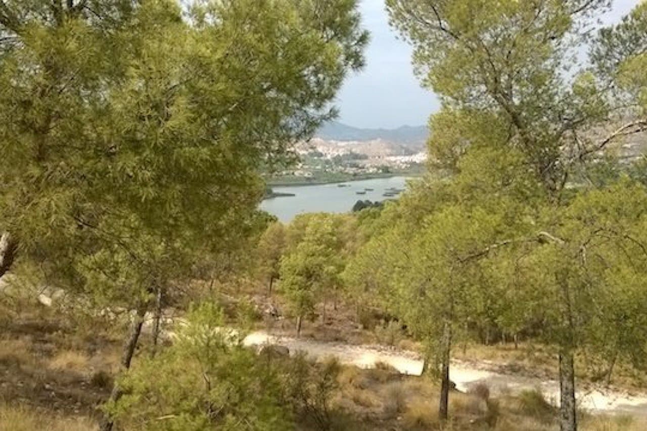 Chalet de 4 habitaciones en Blanca en venta - 169.995 € (Ref: 8647719)