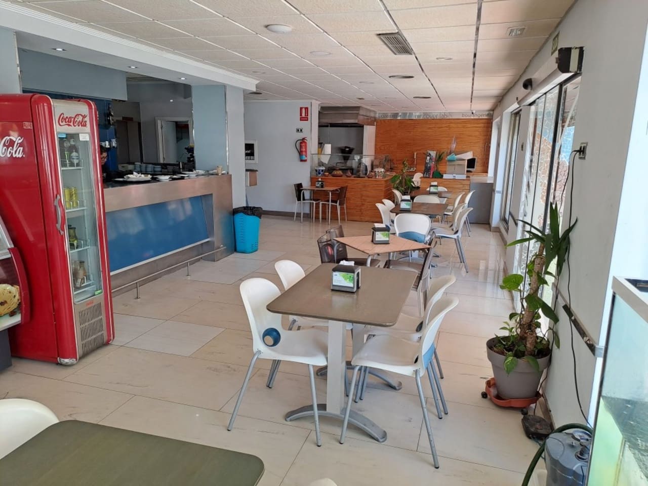 Kommersiell till salu i La Mata - 225 000 € (Ref: 8730018)