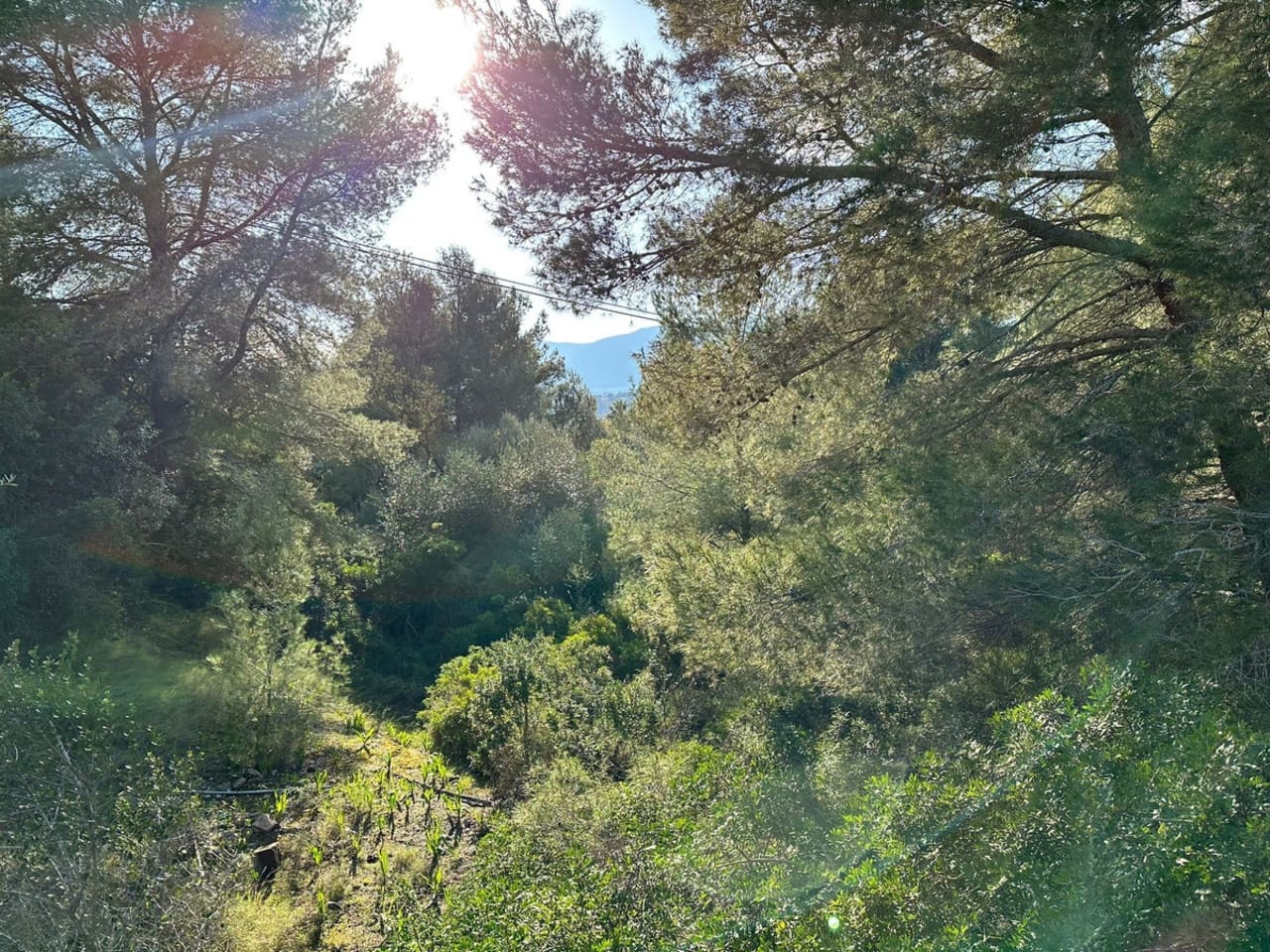 Terrain à Bâtir à vendre à Calpe / Calp - 160 000 € (Ref: 8730079)