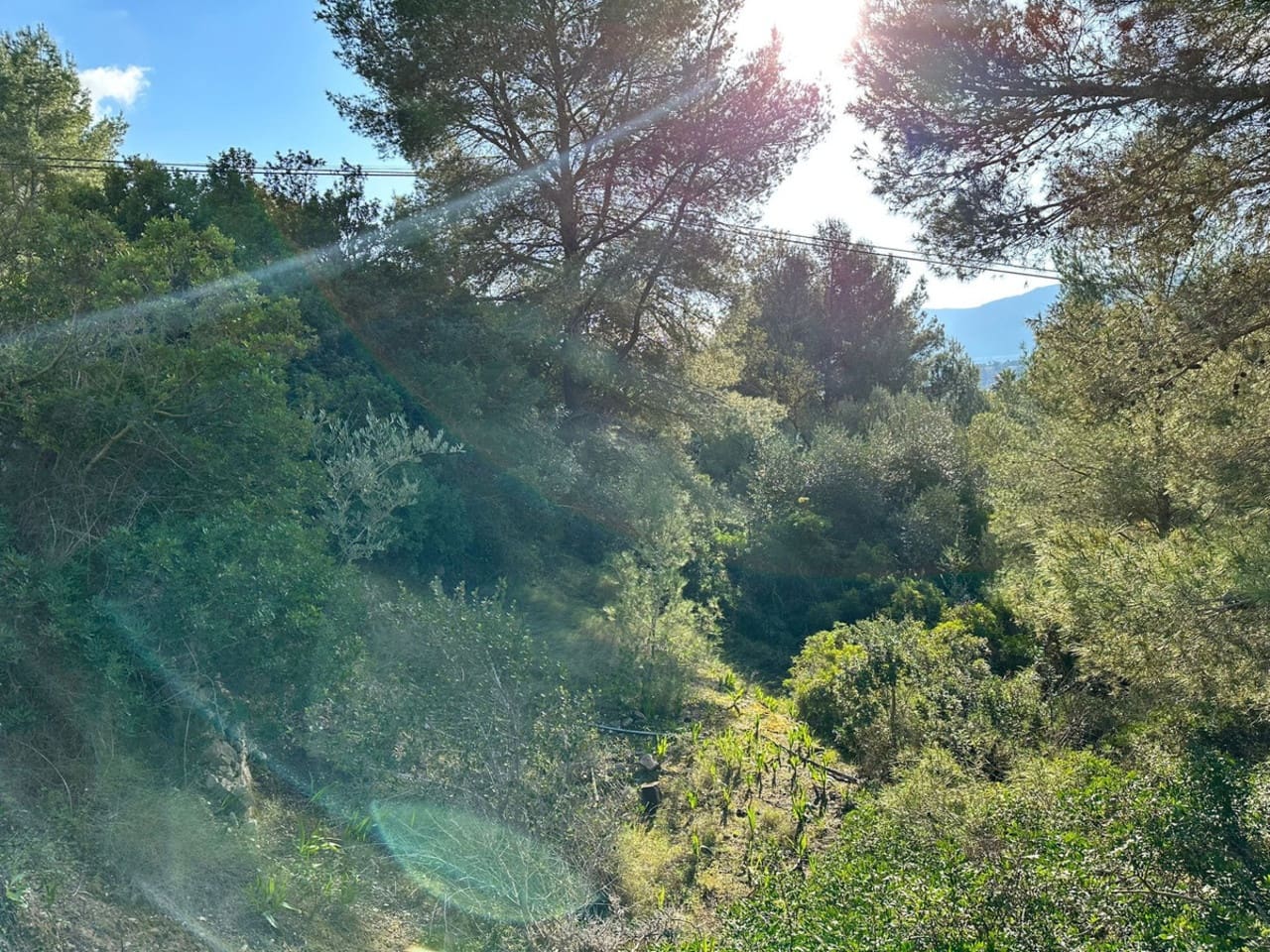 Terrain à Bâtir à vendre à Calpe / Calp - 160 000 € (Ref: 8730079)