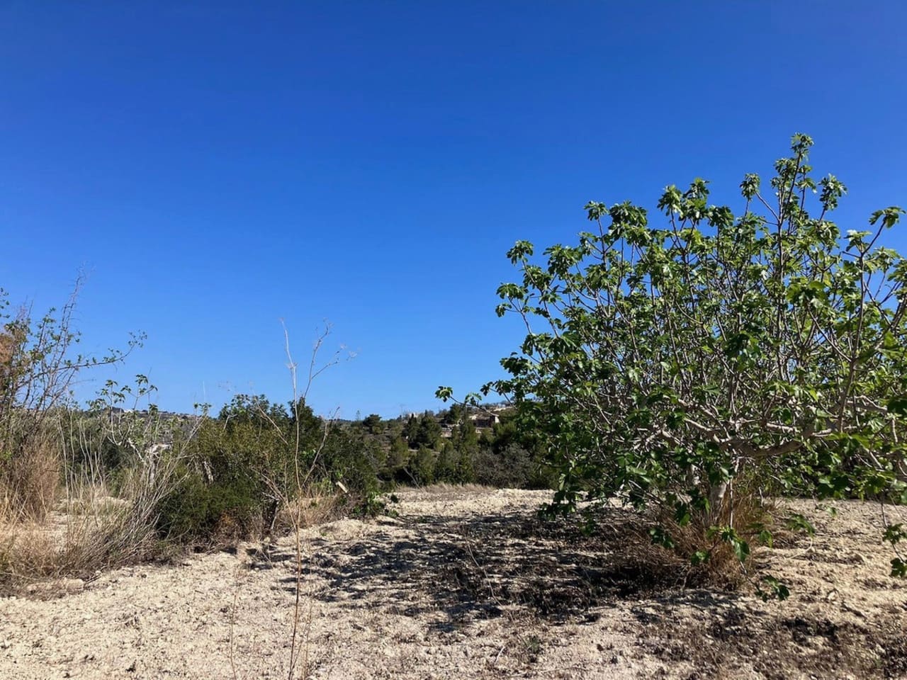 Działka budowlana na sprzedaż w Benissa - 199 000 € (Ref: 8730367)