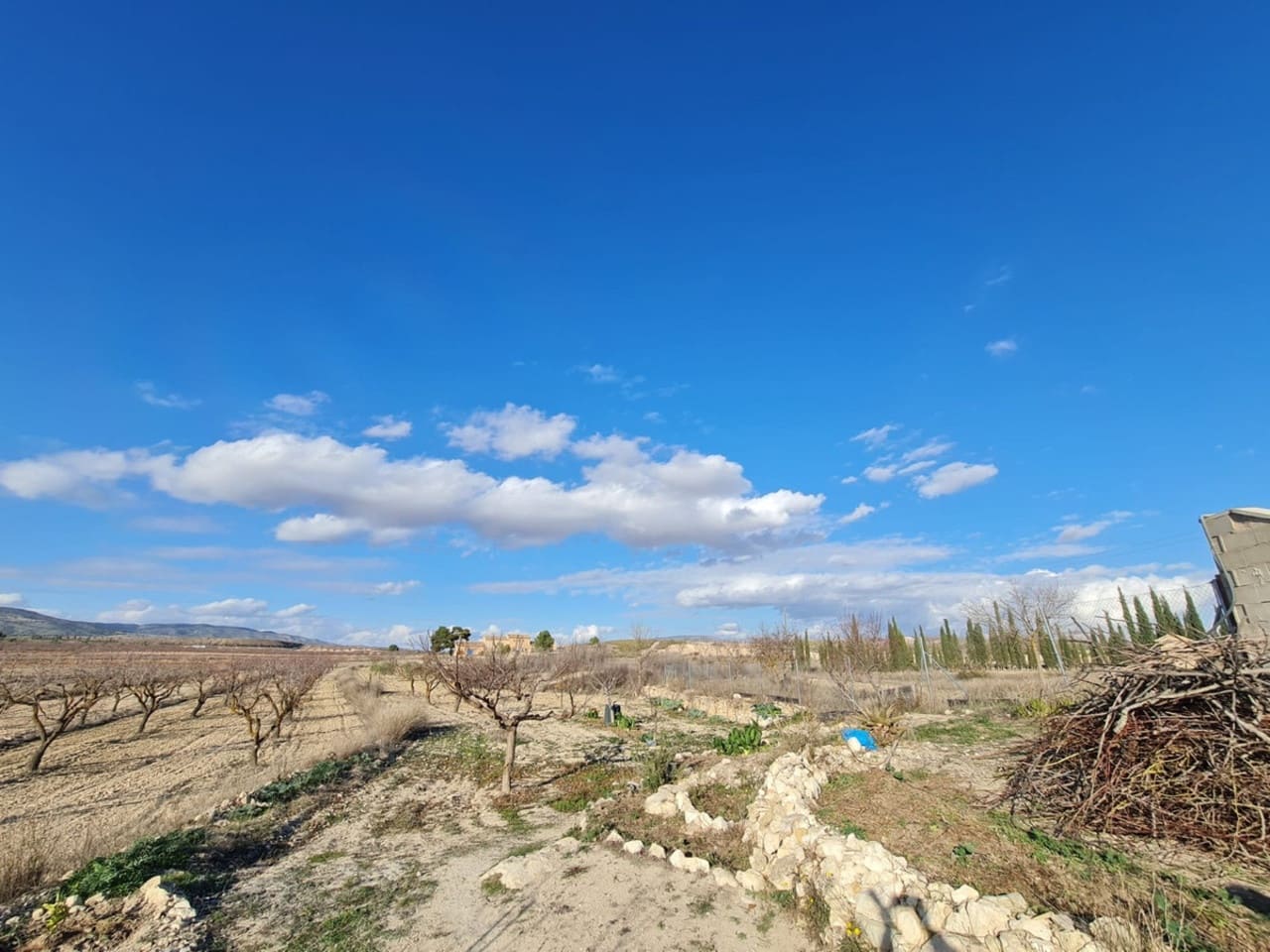 4 quarto Moradia para venda em Pinoso - 219 995 € (Ref: 8730762)