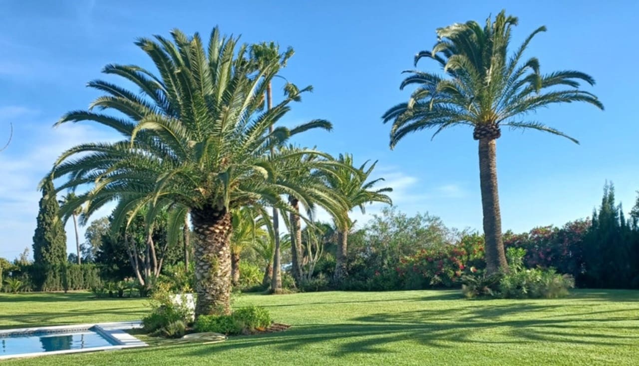 5 soveværelse Villa til salg i Benahavis med swimmingpool garage - € 4.500.000 (Ref: 8738944)