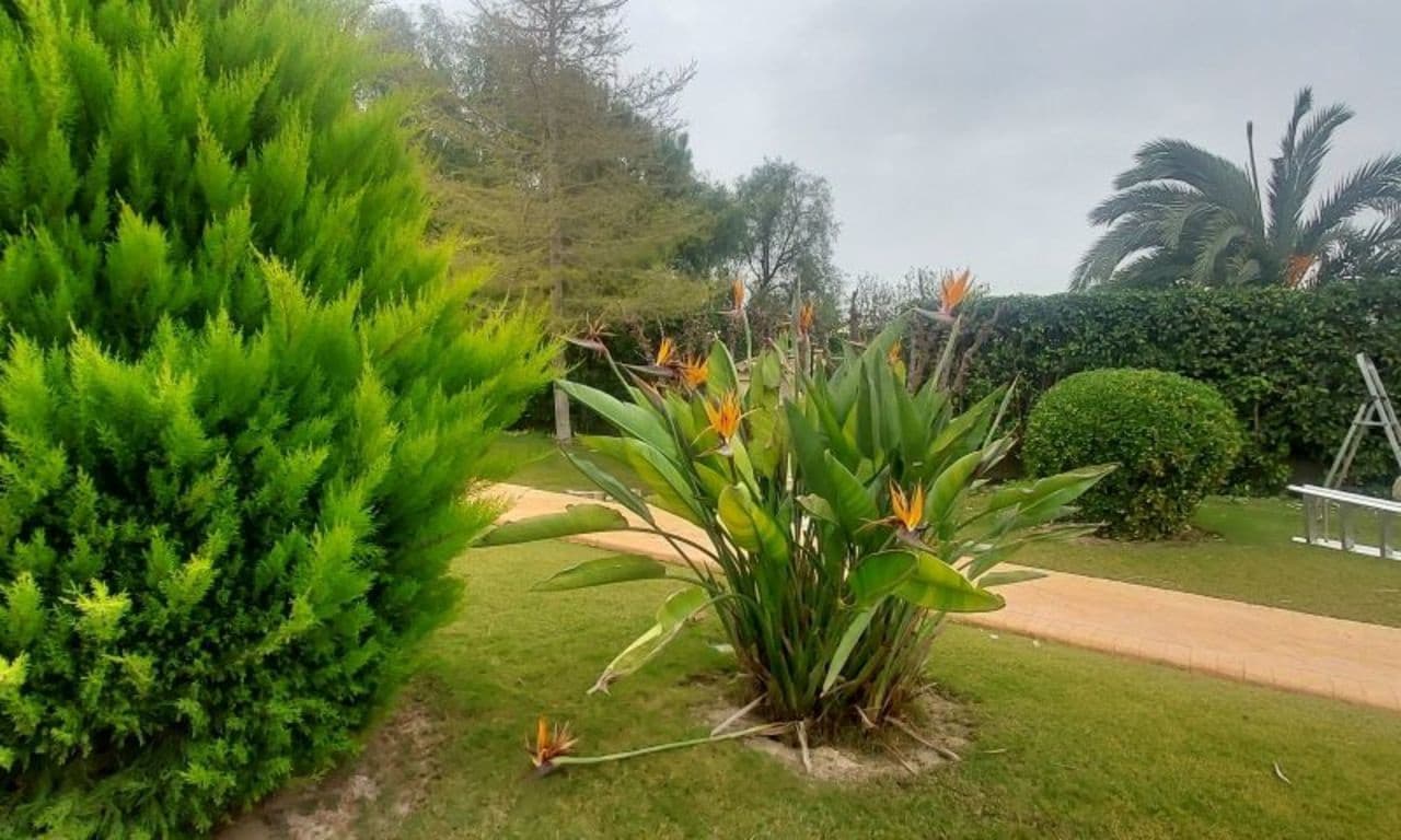 5 sovrum Villa till salu i Hondon de las Nieves med pool - 850 000 € (Ref: 8752373)