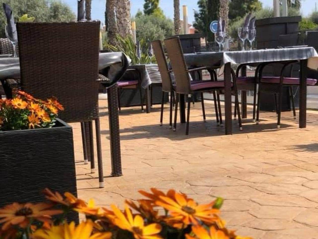 Erhverv til salg i Guardamar del Segura - € 850.000 (Ref: 8800099)