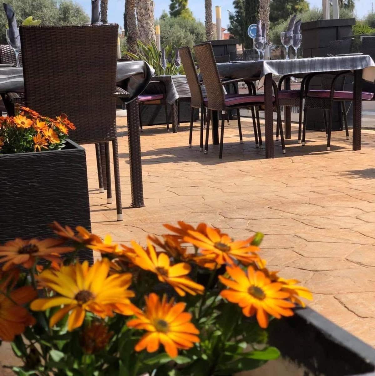 Erhverv til salg i Guardamar del Segura - € 850.000 (Ref: 8800099)