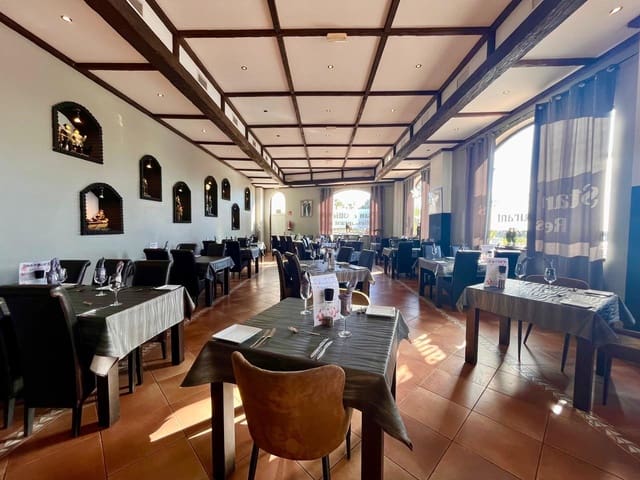 Erhverv til salg i Guardamar Playa, Guardamar del Segura - € 850.000 (Ref: 8800099)