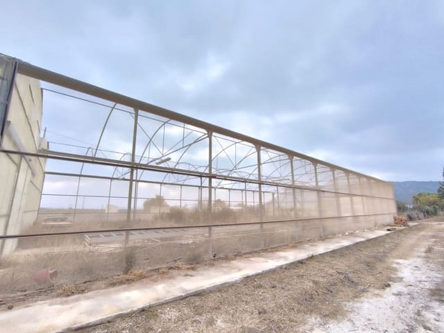 Komercyjne na sprzedaż w Aspe - 199 995 € (Ref: 8829303)