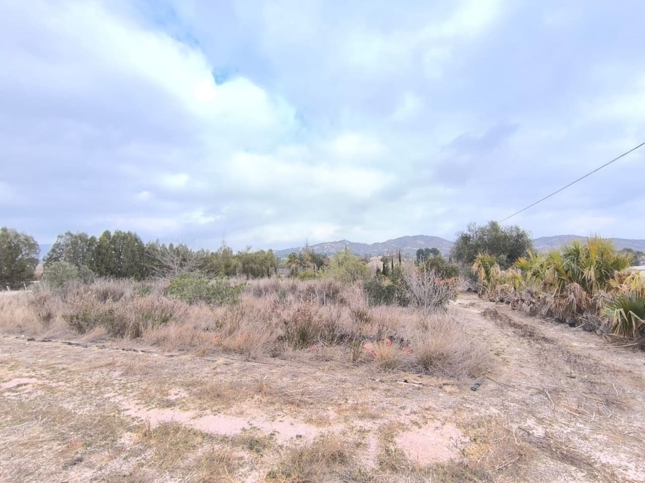 Komercyjne na sprzedaż w Aspe - 199 995 € (Ref: 8829303)