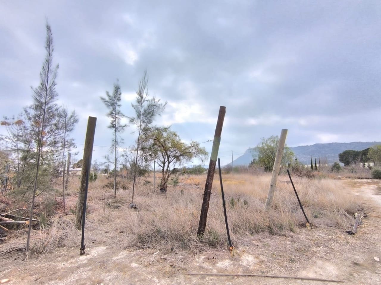 Komercyjne na sprzedaż w Aspe - 199 995 € (Ref: 8829303)