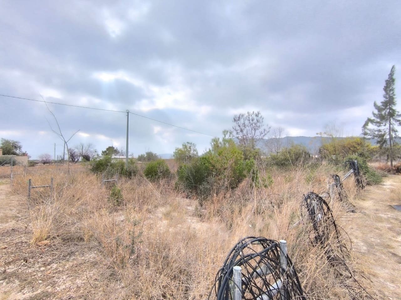 Komercyjne na sprzedaż w Aspe - 199 995 € (Ref: 8829303)