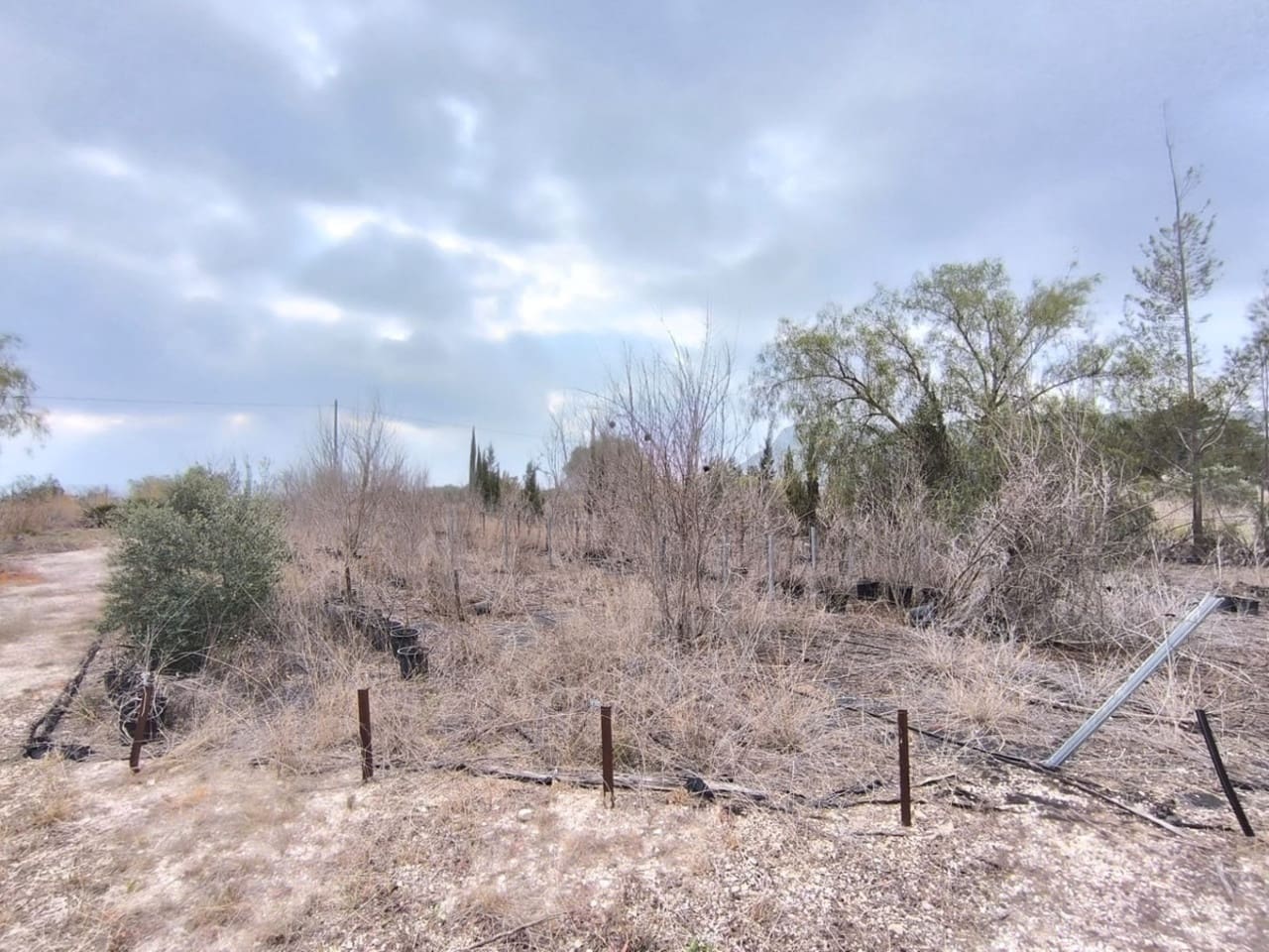 Komercyjne na sprzedaż w Aspe - 199 995 € (Ref: 8829303)