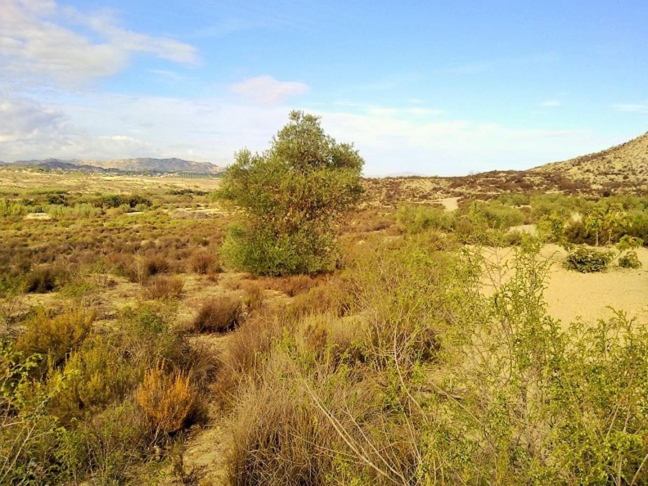 Solar/Parcela en Torremendo en venta - 150.000 € (Ref: 8840921)