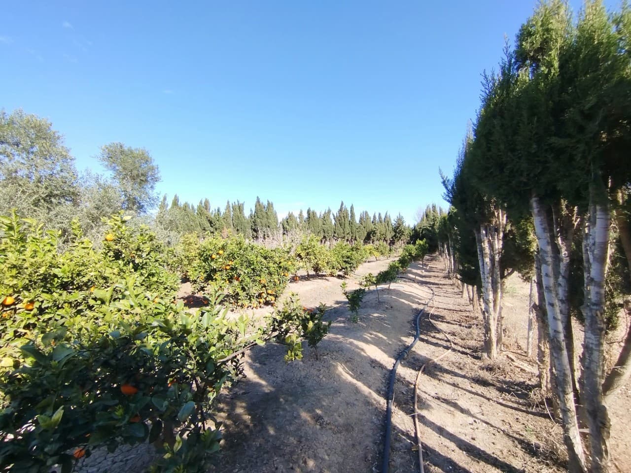 2 Zimmer Villa zu verkaufen in Rojales - 170.000 € (Ref: 8865302)