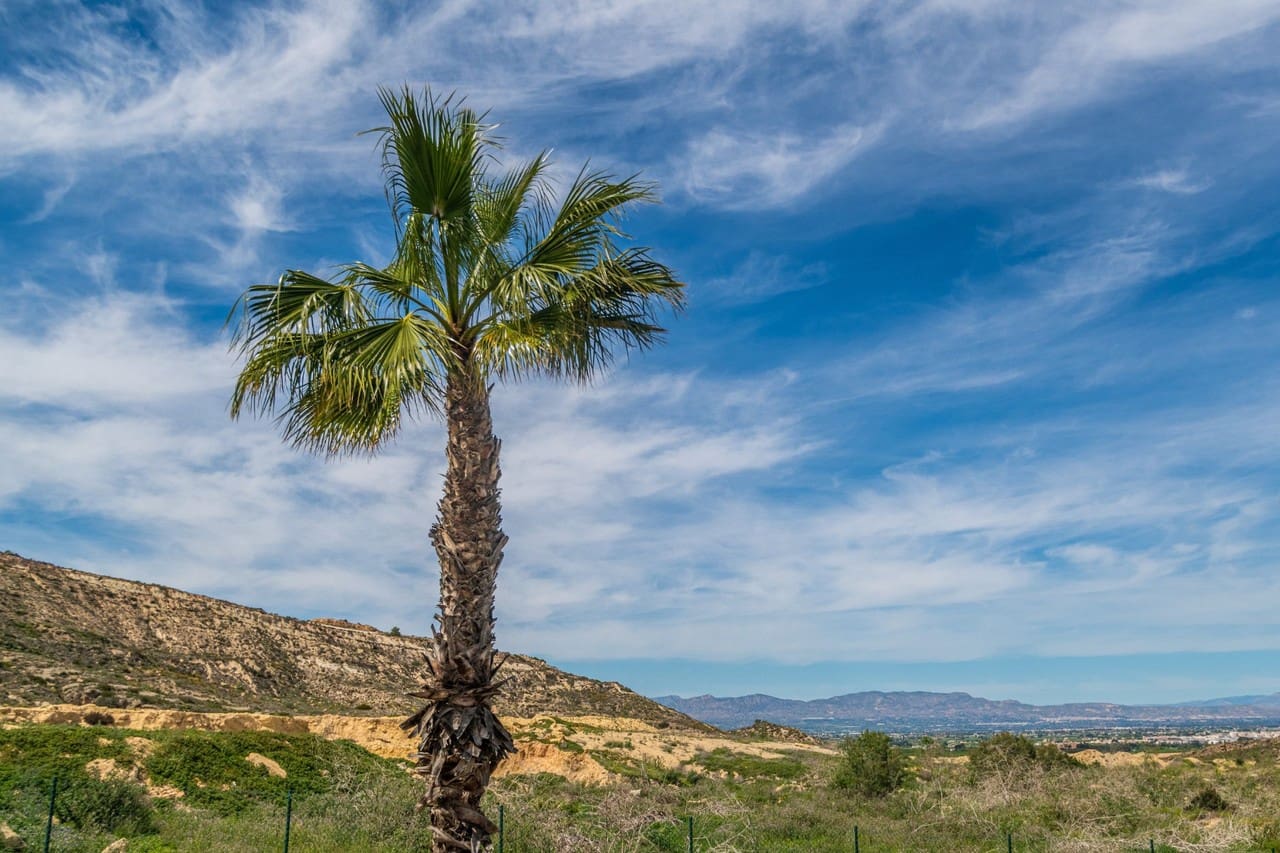 3 slaapkamer Appartement te koop in Algorfa met zwembad - € 355.000 (Ref: 8942181)