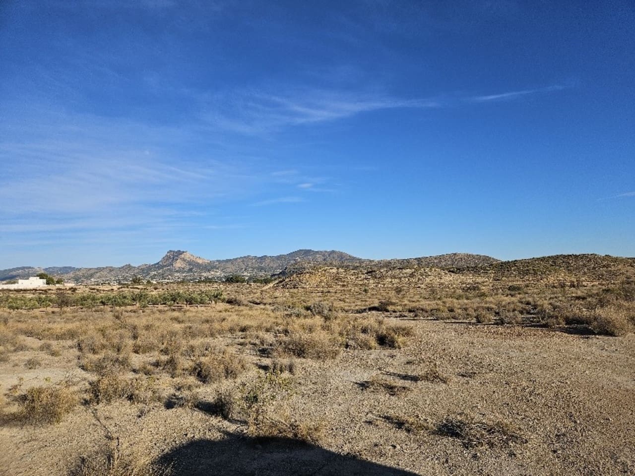 Terrain à Bâtir à vendre à Elda - 195 000 € (Ref: 9003958)