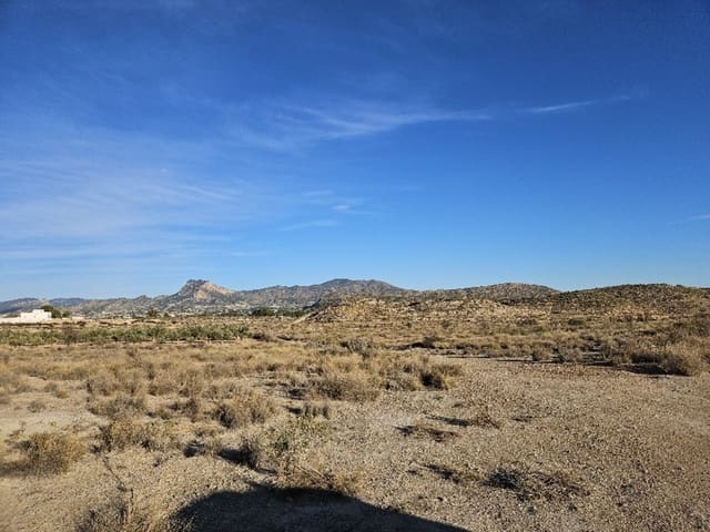 Area Edificabile in vendita in Elda - 195.000 € (Rif: 9003958)