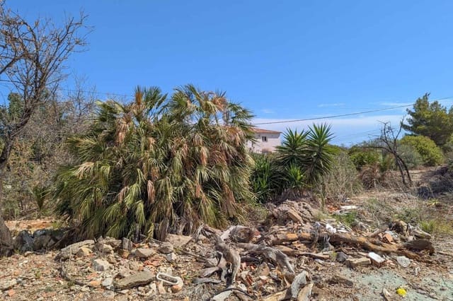 Bauplatz zu verkaufen in Centro Urbano, Dénia - 210.000 € (Ref: 9166133)