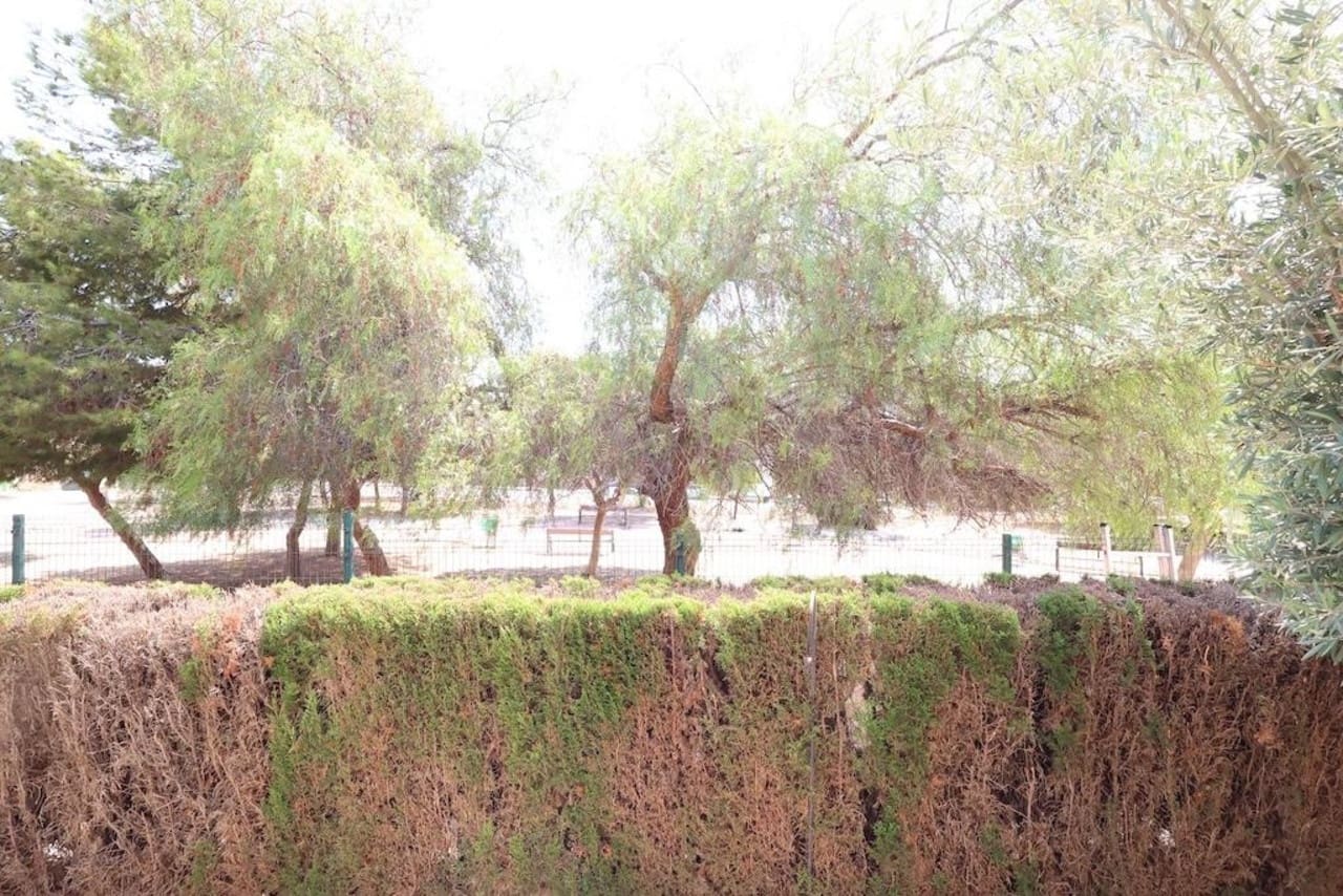 2 bedroom Villa for sale in Punta Prima with pool - € 219,000 (Ref: 9166153)